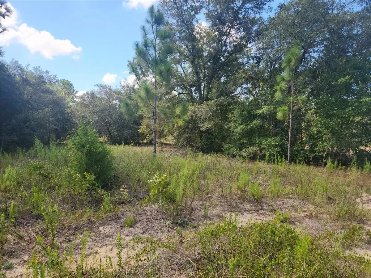 LOT 21 SW Rainbow Lakes Boulevard, Dunnellon, FL 34431 - Image #1