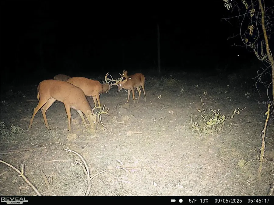 Sw County Road 249, Jasper, FL 32052 - Image #2