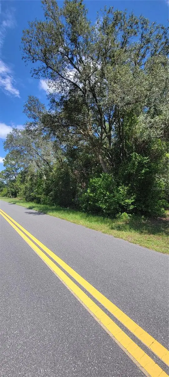 0 SW Beach Boulevard, Dunnellon, FL 34431 - Image #2