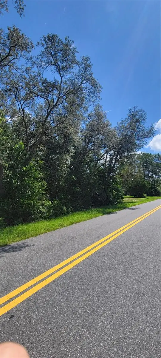 0 SW Beach Boulevard, Dunnellon, FL 34431 - Image #3