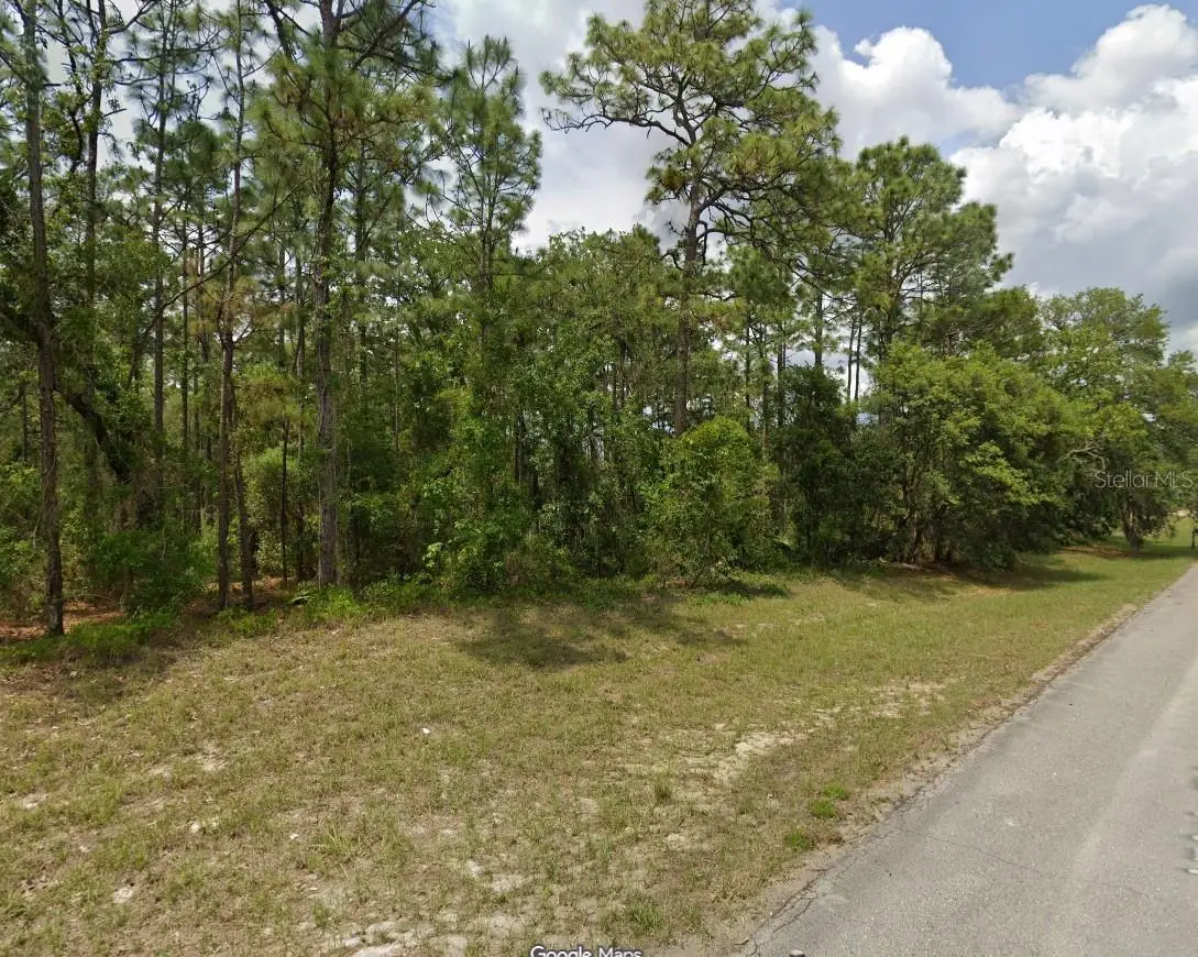 TBD SW 150th Place, Ocala, FL 34473 - #1