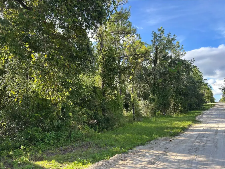 TBD NE 134th Court, Williston, FL 32696 - Image #3