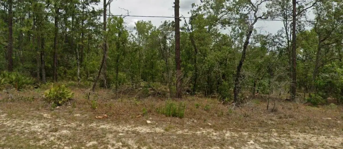 6627 N Bedstrow Boulevard, Citrus Springs, FL 34434 - Image #1