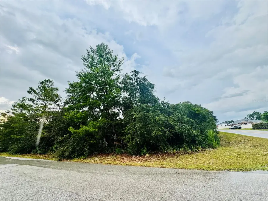 TBD SW 111th Pl, Ocala, FL 34476 - #2