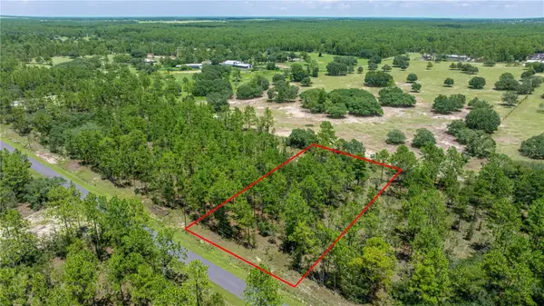 LOT14 SE 136 Th Terrace, DUNNELLON, FL 34431