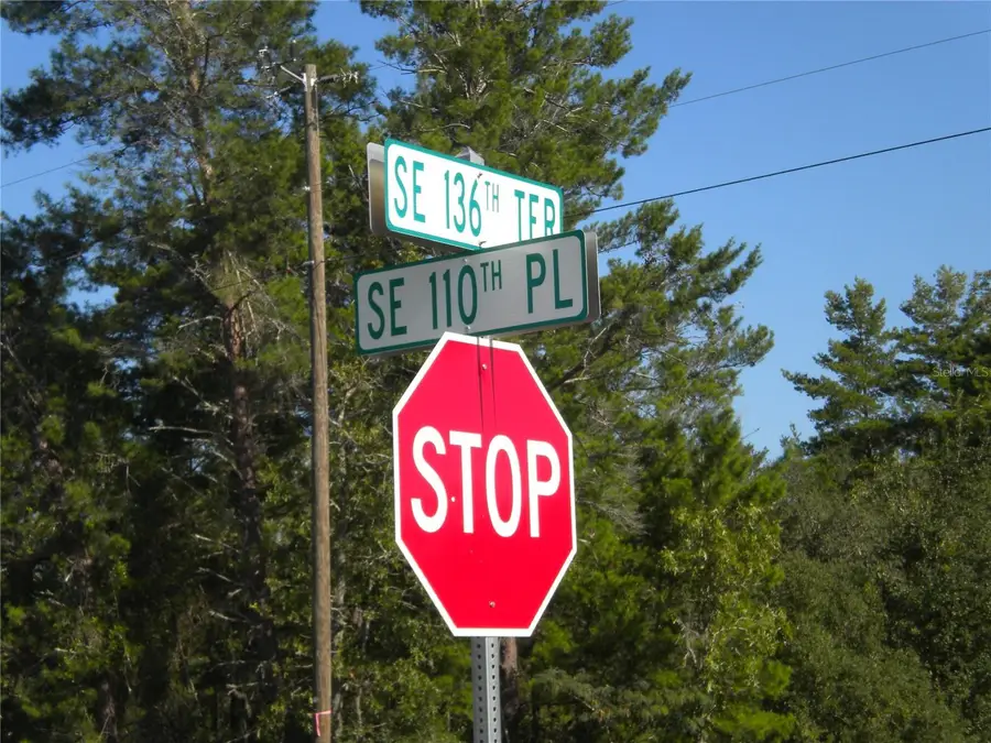 LOT14 SE 136 Th Terrace, Dunnellon, FL 34431 - Image #2