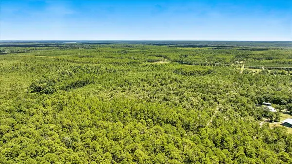 TBD NE 125th Ave, FORT MC COY, FL 32134