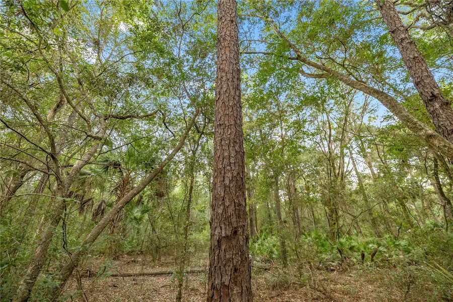 970 S County Road 21, Hawthorne, FL 32640 - Image #3