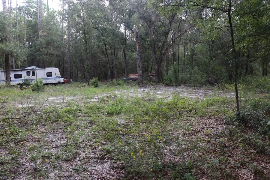 7543 W Rainbow Street, Dunnellon, FL 34433 - #2