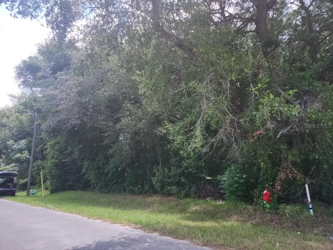 Lot 6 SE Bahia Ct. Terrace, Ocala, FL 34472 - Image #1