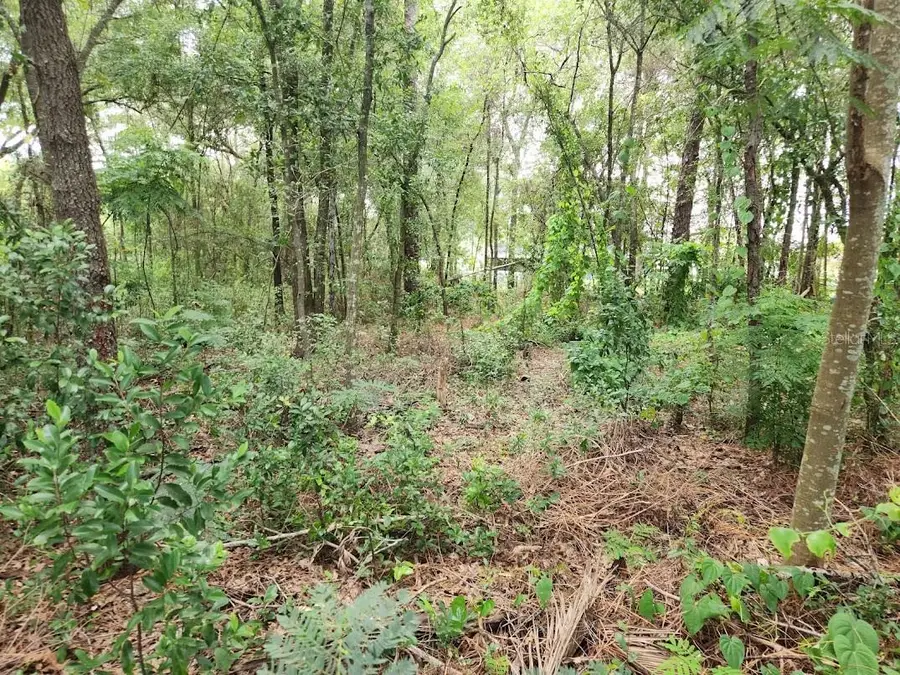 Lot 6 SE Bahia Ct. Terrace, Ocala, FL 34472 - Image #3
