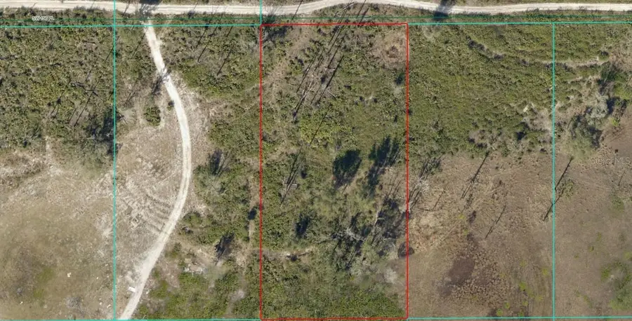 Tract 343 SW 156th Place, Dunnellon, FL 34432 - Image #2