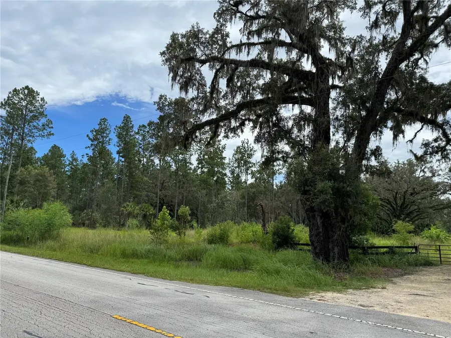 9600 NE 90th Street Road, Fort McCoy, FL 32134 - Image #3