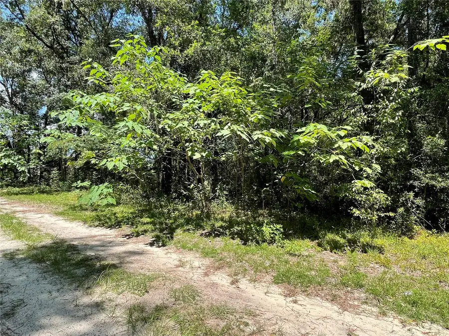 Lot 30 SW 31st Place, Ocala, FL 34481 - Image #3