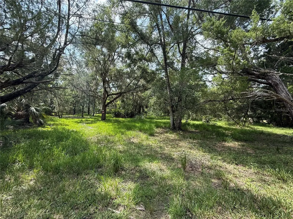 11990 W Eldred Lane, Homosassa, FL 34448 - Image #1