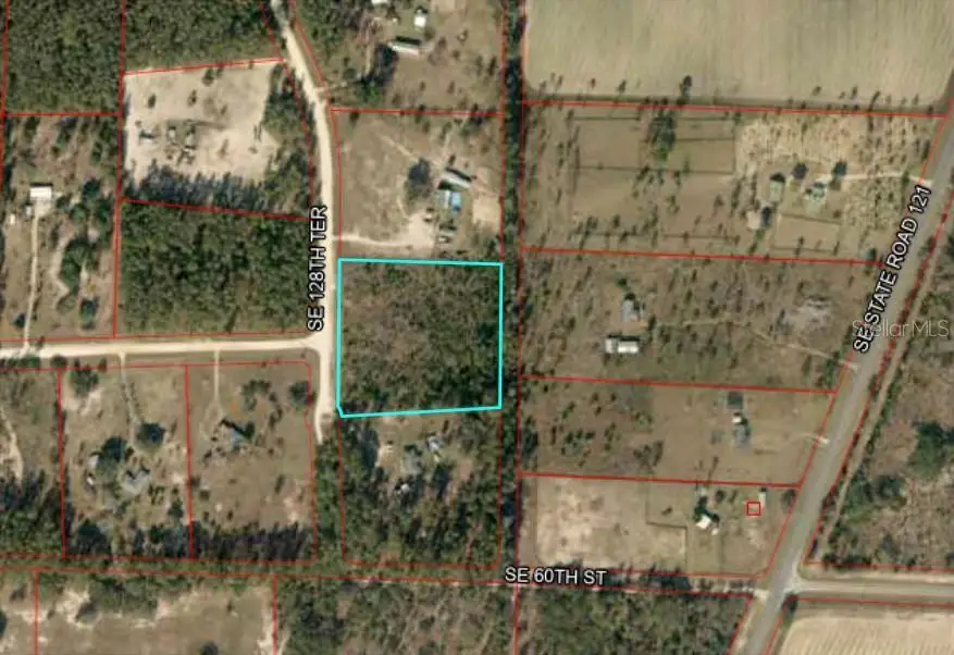 TBD SE 128th Terrace, Morriston, FL 32668 - Image #2