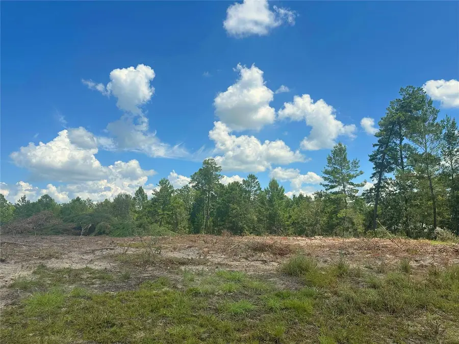 TBD SE 128th Terrace, Morriston, FL 32668 - Image #3