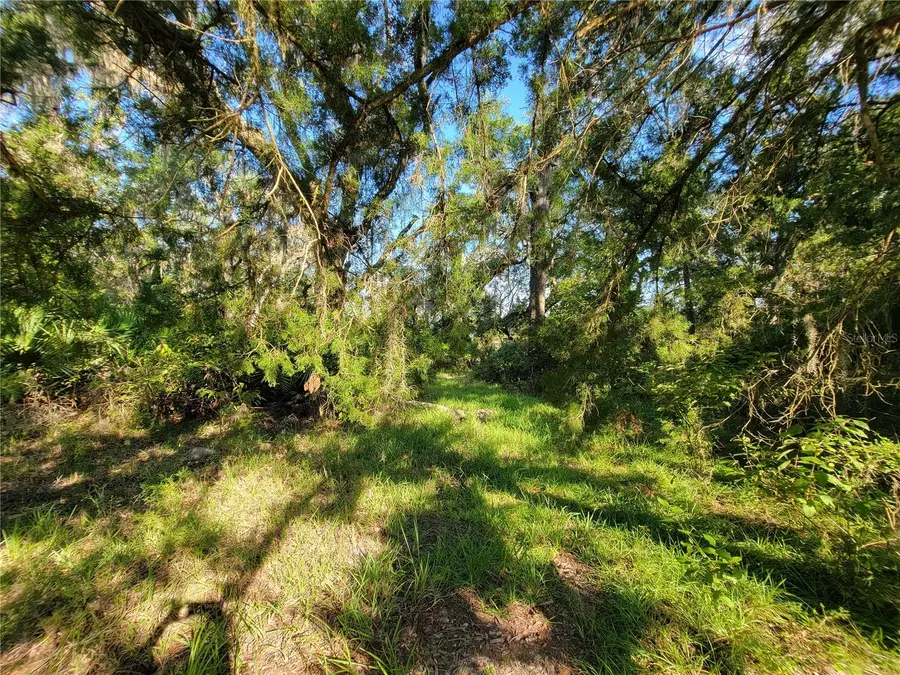 565 NE 833rd Street, Old Town, FL 32680 - Image #2