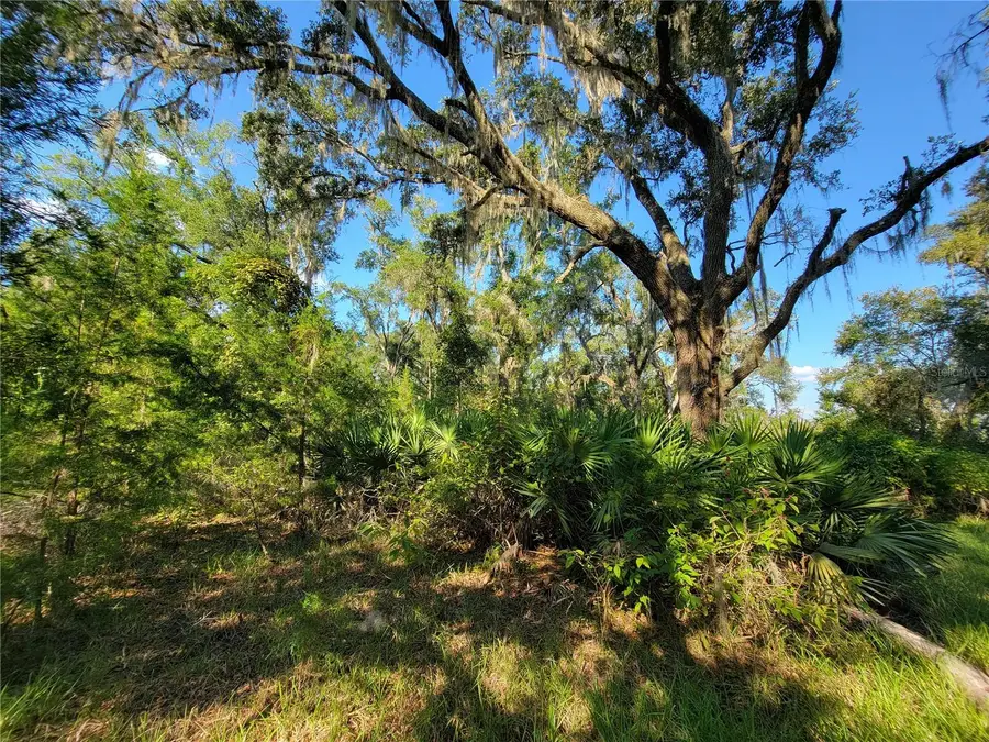 565 NE 833rd Street, Old Town, FL 32680 - Image #3