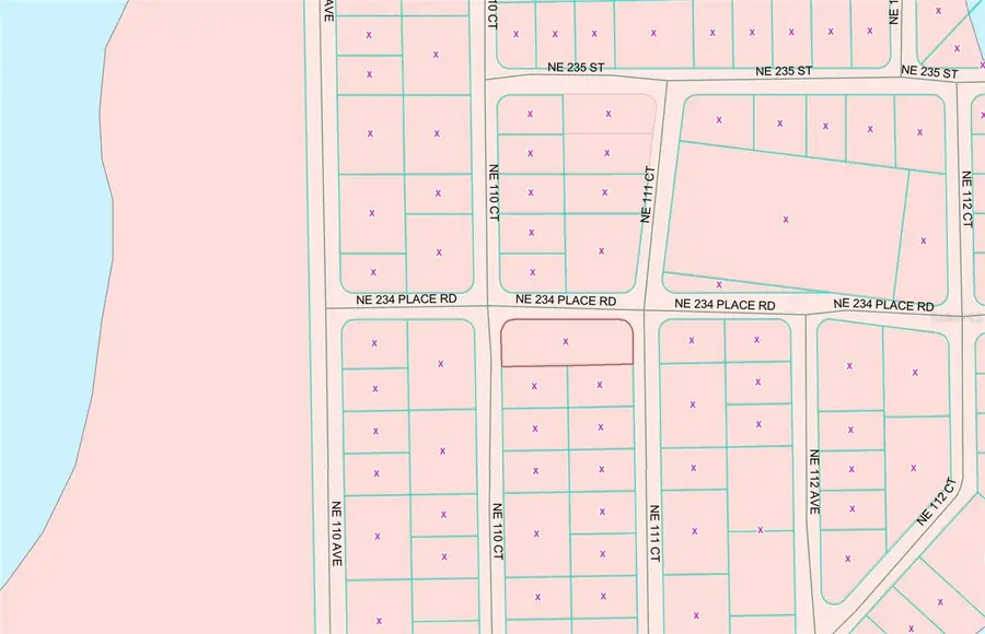 TBD NE 234th Place, Fort McCoy Anthony, FL 32134 - Image #3