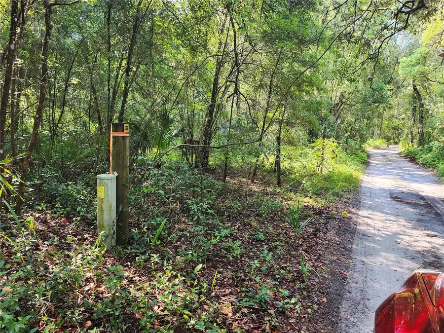 11921 SE 138th Terrace, Ocklawaha, FL 32179 - Image #2