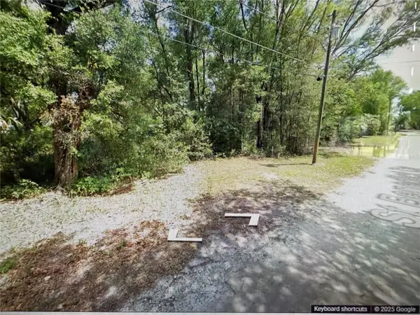 TBD St Benedict Drive Lot 113 Drive, DUNNELLON, FL 34432