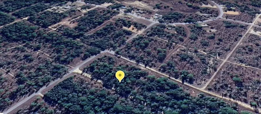 TBD NE 16th Place, Williston, FL 32696 - Image #2