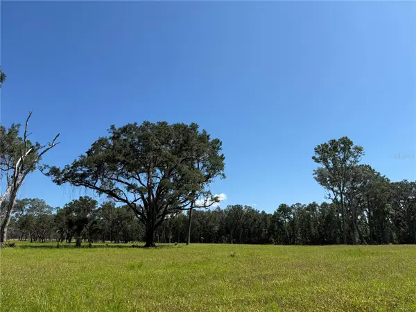 DO #7 (10ac) NW 193rd St, MICANOPY, FL 32667
