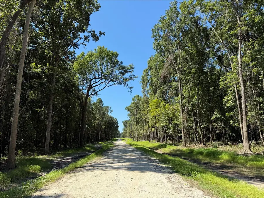 DO #7 (10ac) NW 193rd St, Micanopy, FL 32667 - Image #2