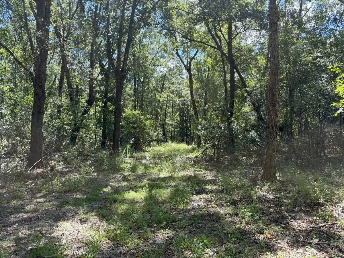 DO #3 (10ac) NW 193rd St, Micanopy, FL 32667 - Image #1
