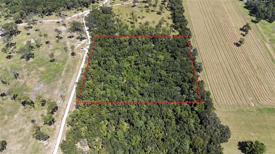 DO #3 (10ac) NW 193rd St, Micanopy, FL 32667 - Image #2
