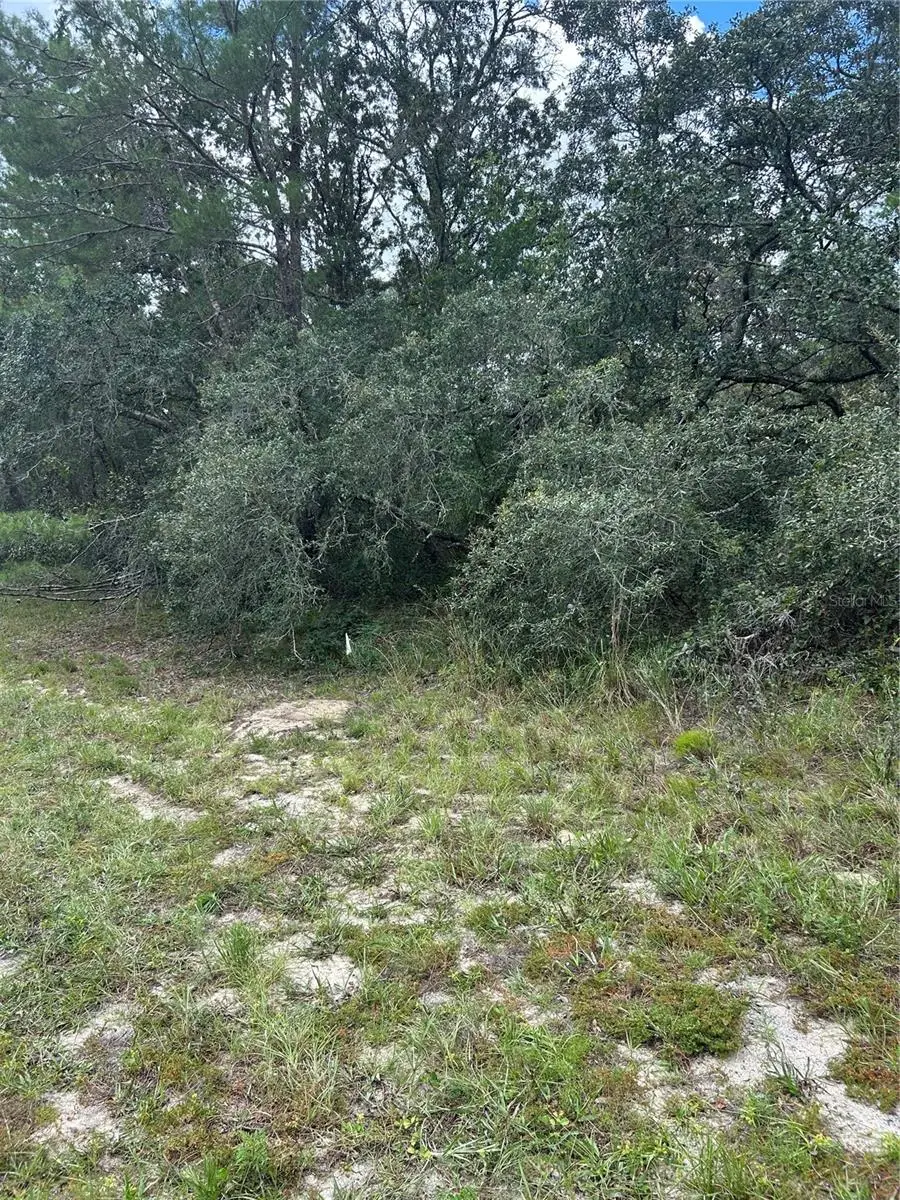 00 SW 27th Circle, Ocala, FL 34473 - #3