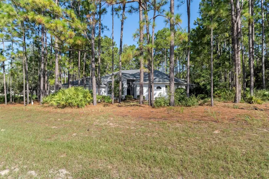 4881 W Phoenix Drive, Beverly Hills, FL 34465 - Image #2