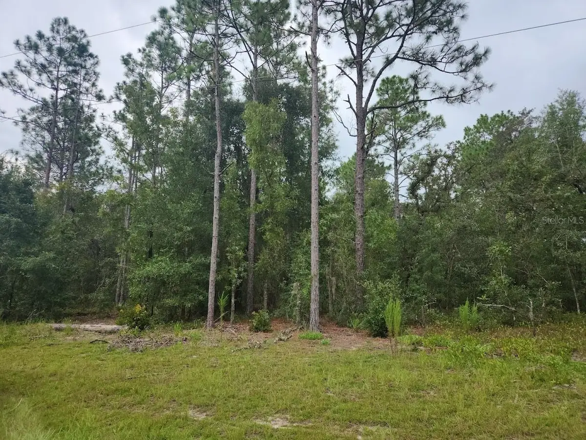lot 24 SW 89th Circle, Ocala, FL 34473 - Image #1