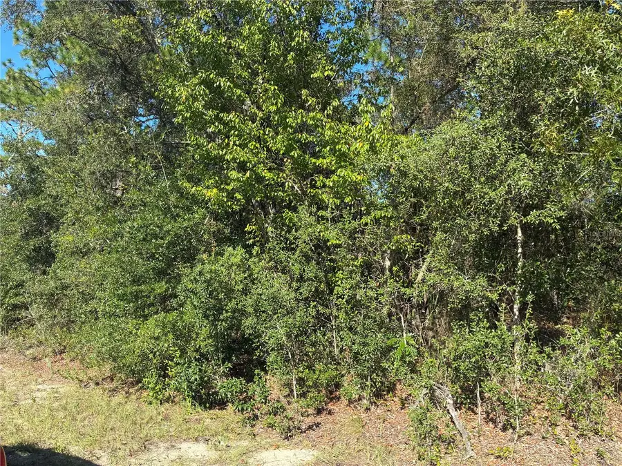 SW Seaweed Avenue, Dunnellon, FL 34430 - Image #3