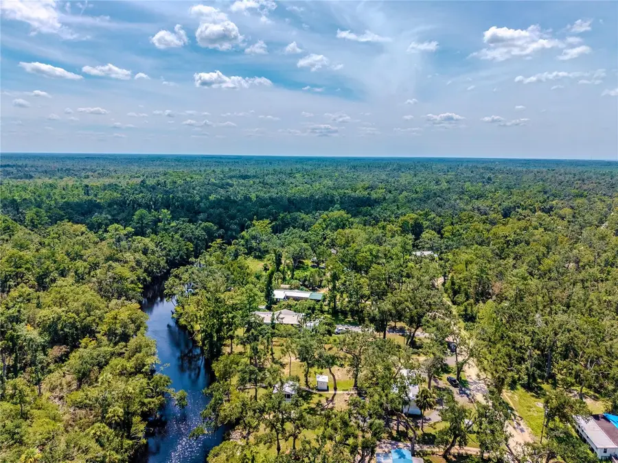 2008 River Road Ne, Steinhatchee, FL 32359 - Image #3