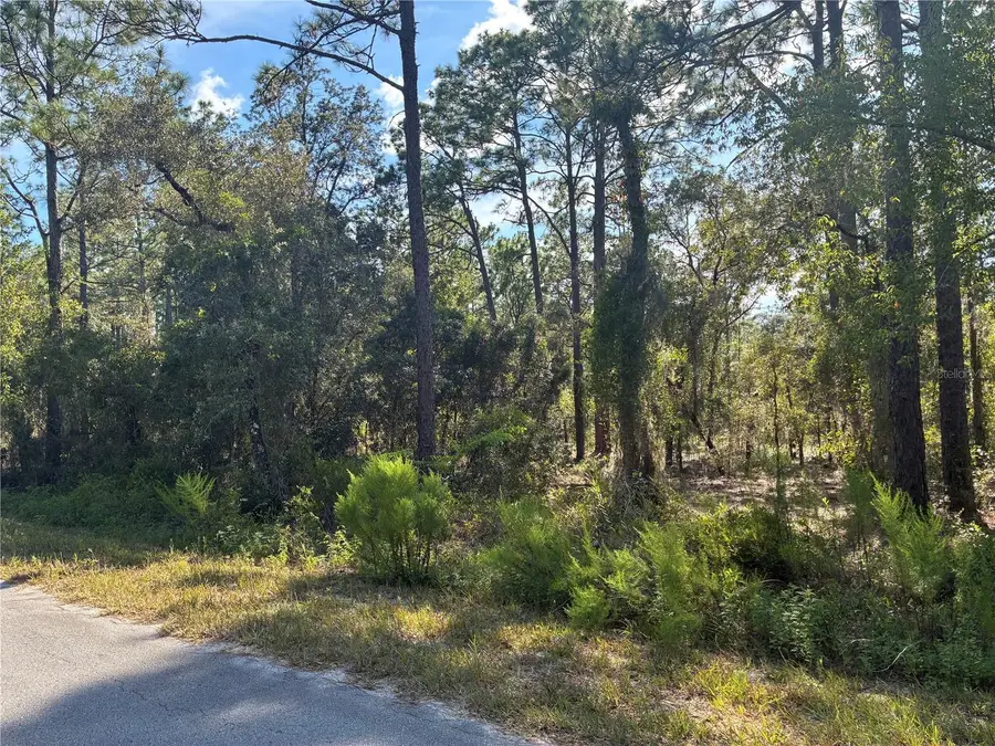 Redwing Road, Dunnellon, FL 34430 - Image #2