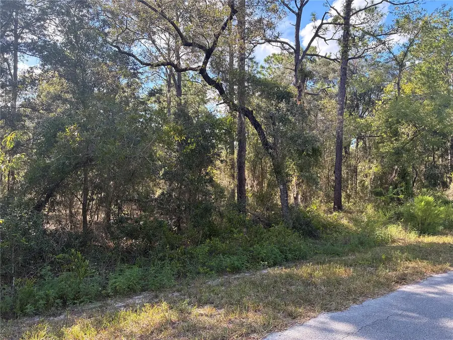 Redwing Road, Dunnellon, FL 34430 - Image #3