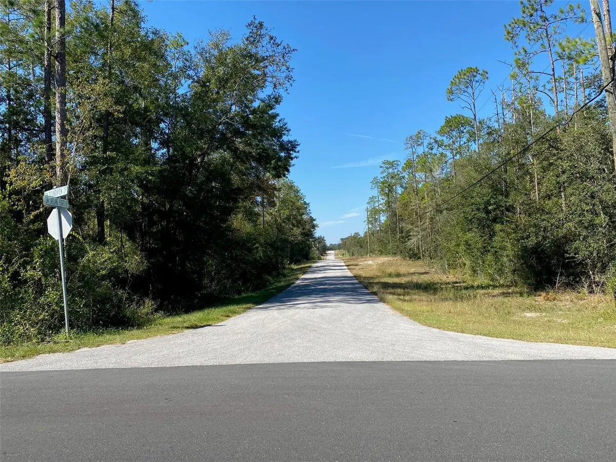 TBD Lakeland Heights Avenue, Dunnellon, FL 34431 - Image #1