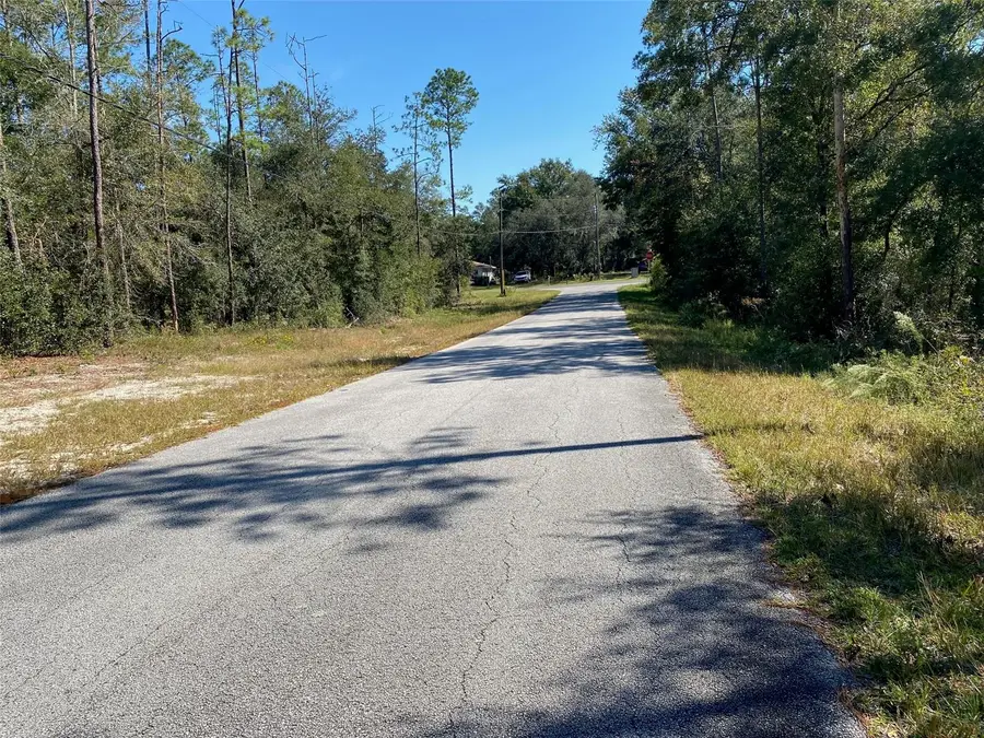 TBD Lakeland Heights Avenue, Dunnellon, FL 34431 - Image #2