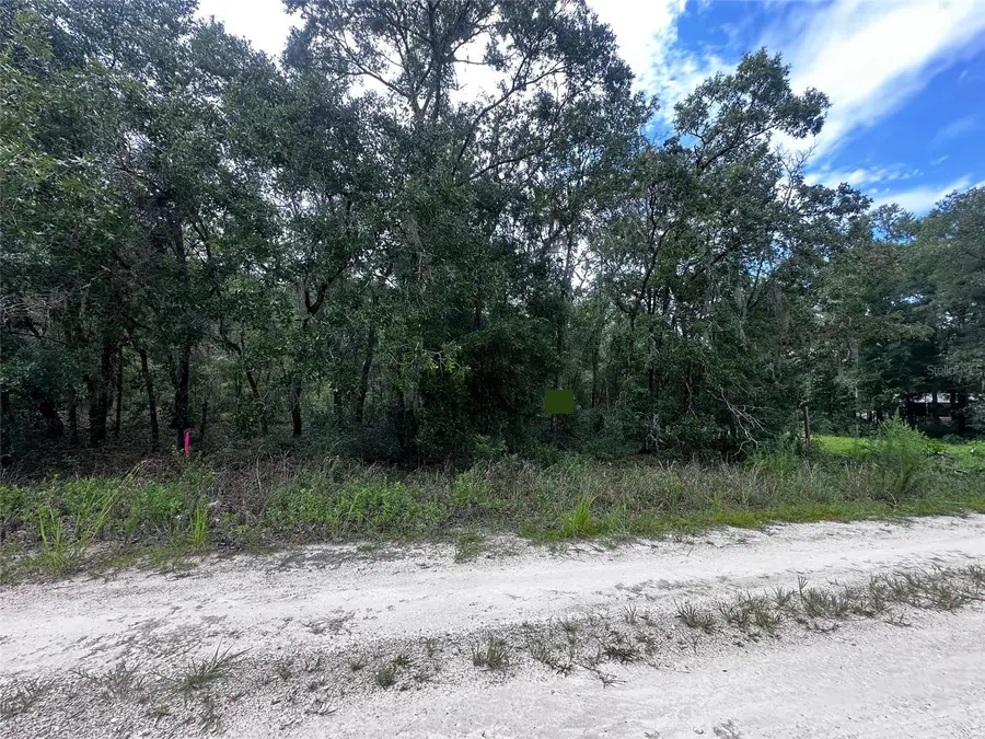 155th Terrace Ne, Williston, FL 32696 - Image #2