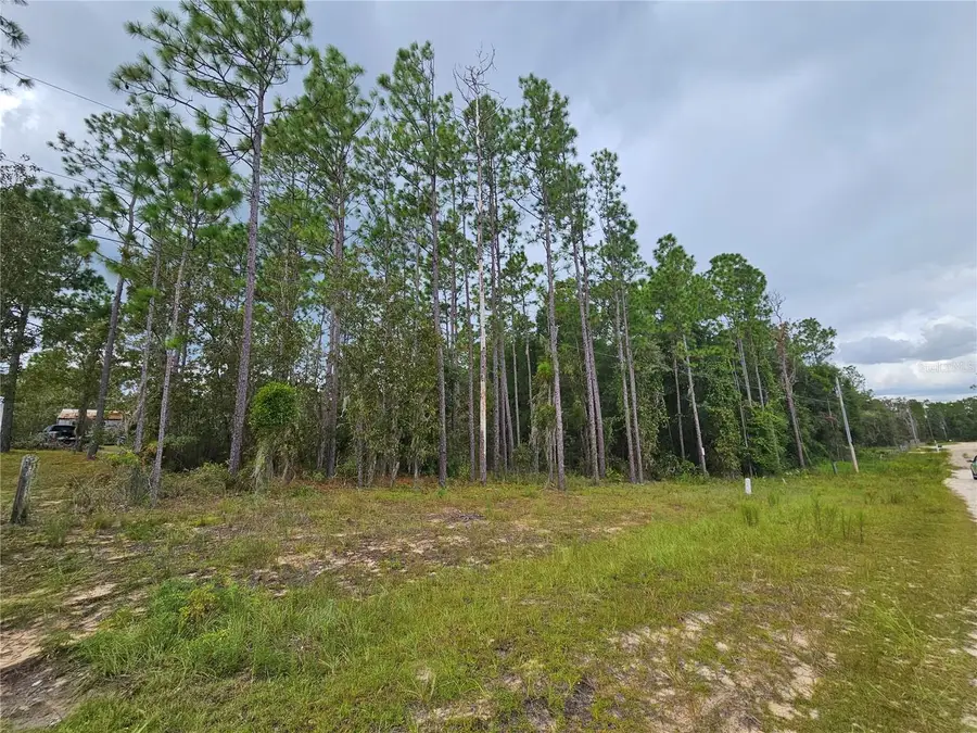 11730 NE 101st Terrace, Archer, FL 32618 - Image #2