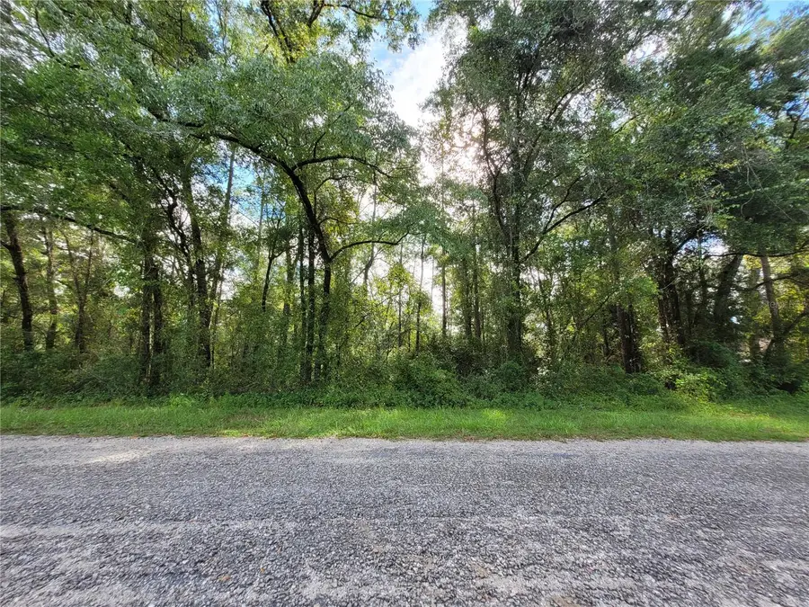 8827 N Pelican Terrace, Dunnellon, FL 34434 - Image #2