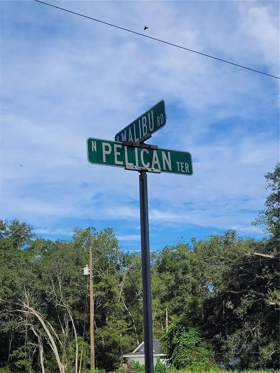 8839 N Pelican Terrace, Dunnellon, FL 34434 - Image #3