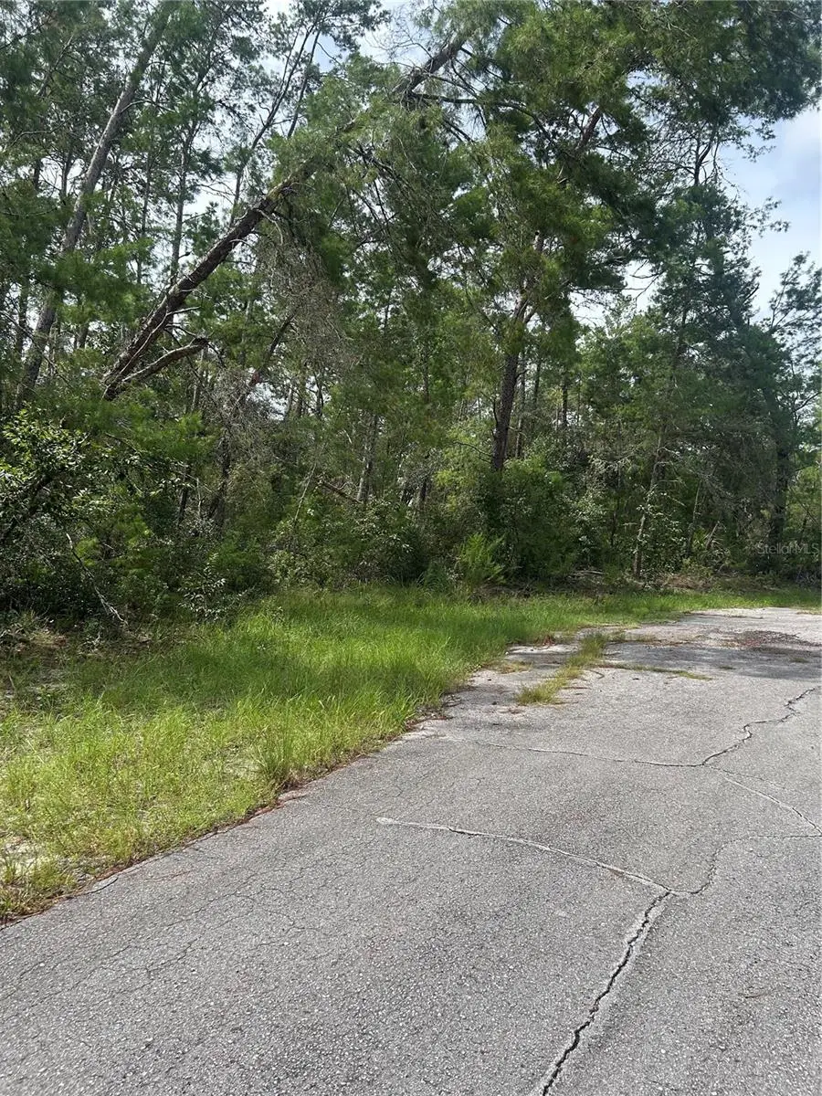 Sw 179th Place, Ocala, FL 34473 - #3