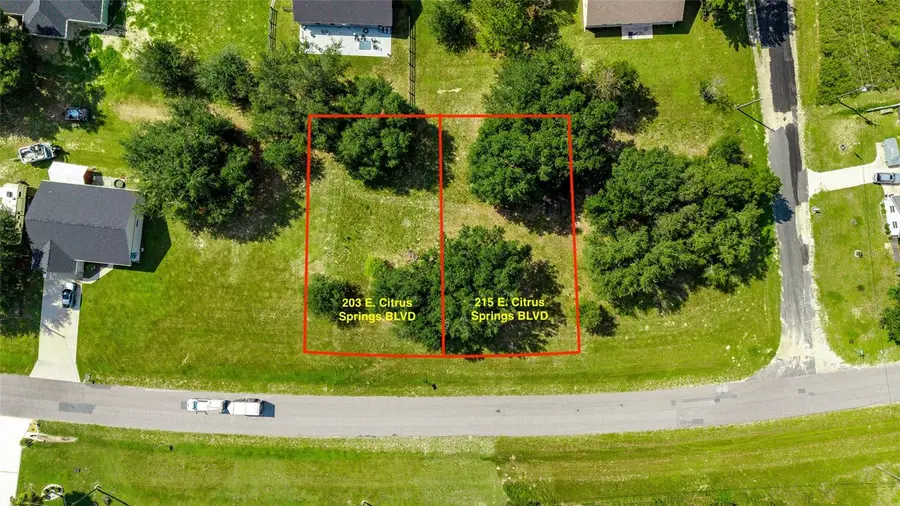 203 & 215 E Citrus Springs Boulevard, Citrus Springs, FL 34434 - Image #2