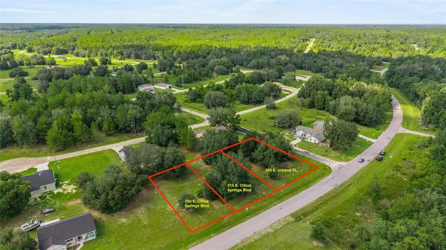 550 E Urbana Place, Dunnellon, FL 34434 - Image #2