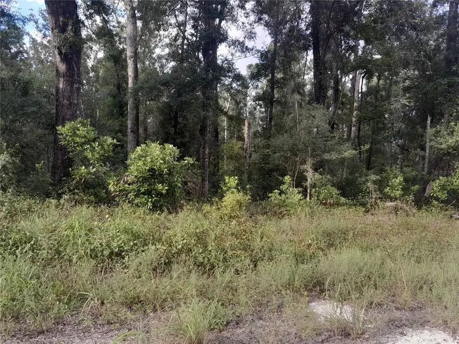 TBD NE 292nd Avenue, Old Town, FL 32680 - Image #2