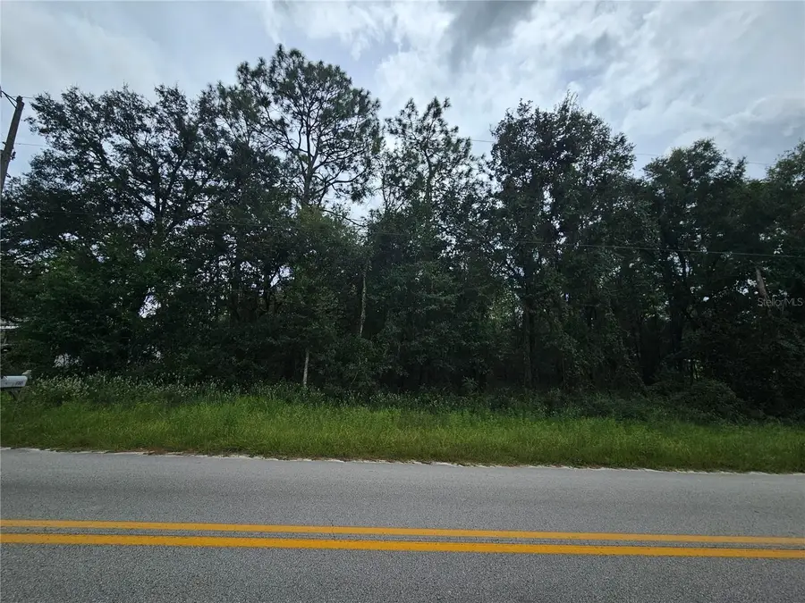 9830 NE 65th Lane, Bronson, FL 32621 - Image #3