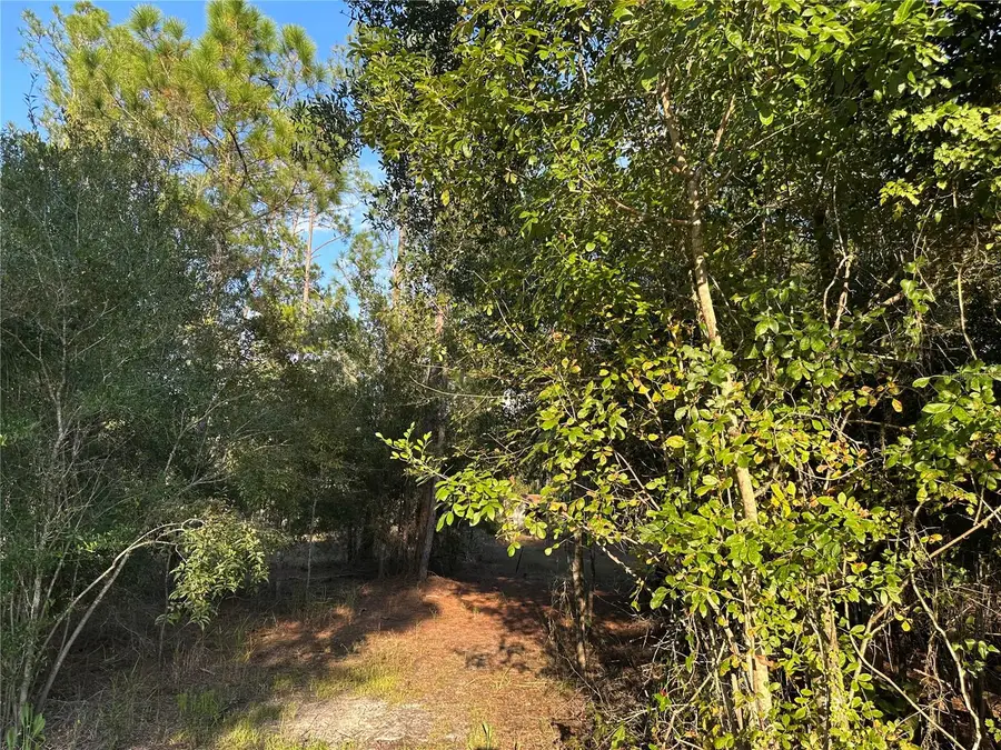 8338 Hardstone Drive, Webster, FL 33597 - Image #2